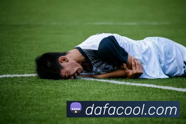 大发官网平台生态图